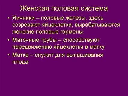 Женская репродуктивная система яичники