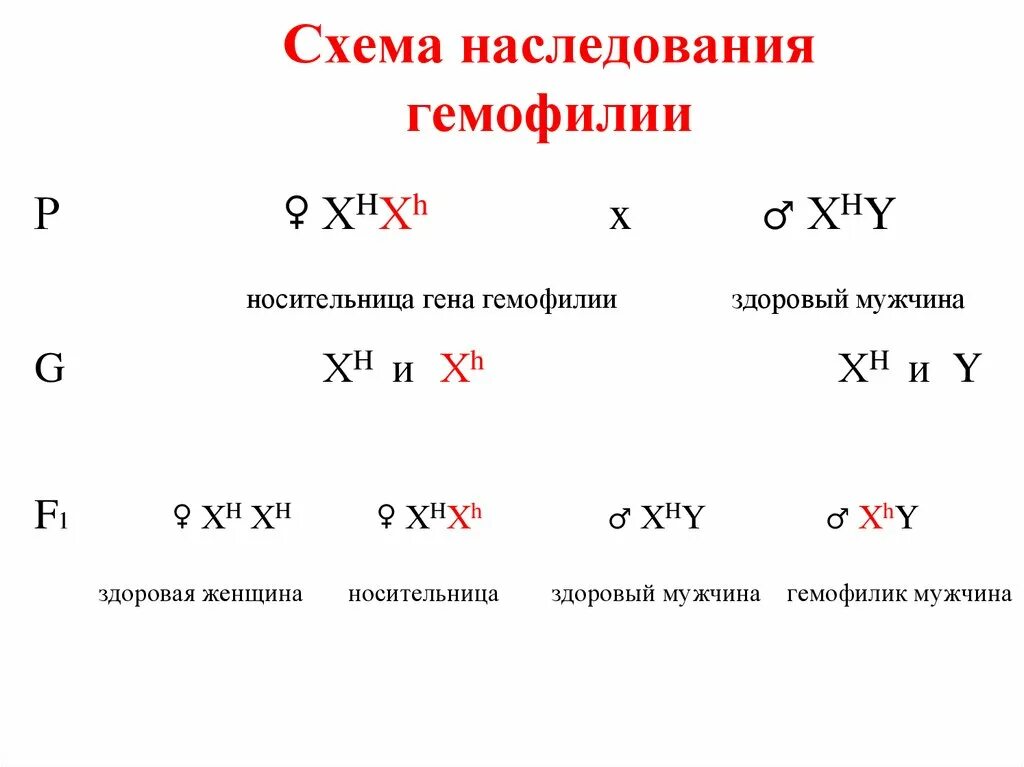 Гемофилия схема скрещивания. Наследование гемофилии. Схема наследственной гемофилии. Генетические схемы наследования гемофилии.