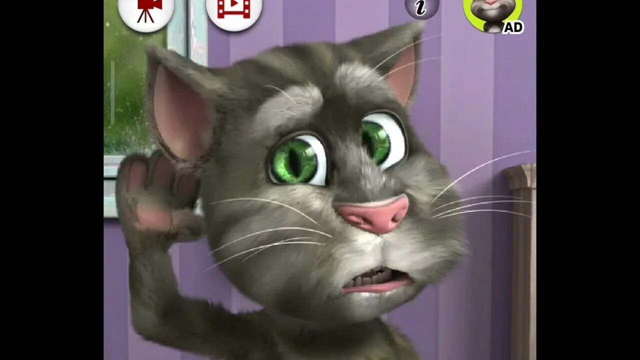 Talking tom friends анджела. Talking tom игры. My talking tom 2. Большой том не говорящий. Игра talking tom friends.