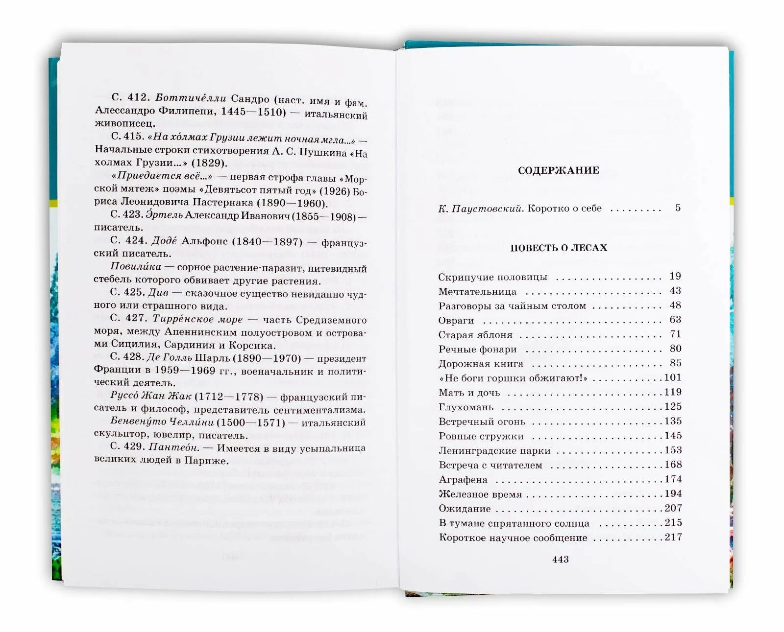Паустовский мещерская сторона. Паустовский мещерская сторона. Паустовский мещерская сторона пересказ. Паустовский мещерская сторона пересказ. Паустовский мещерская сторона.