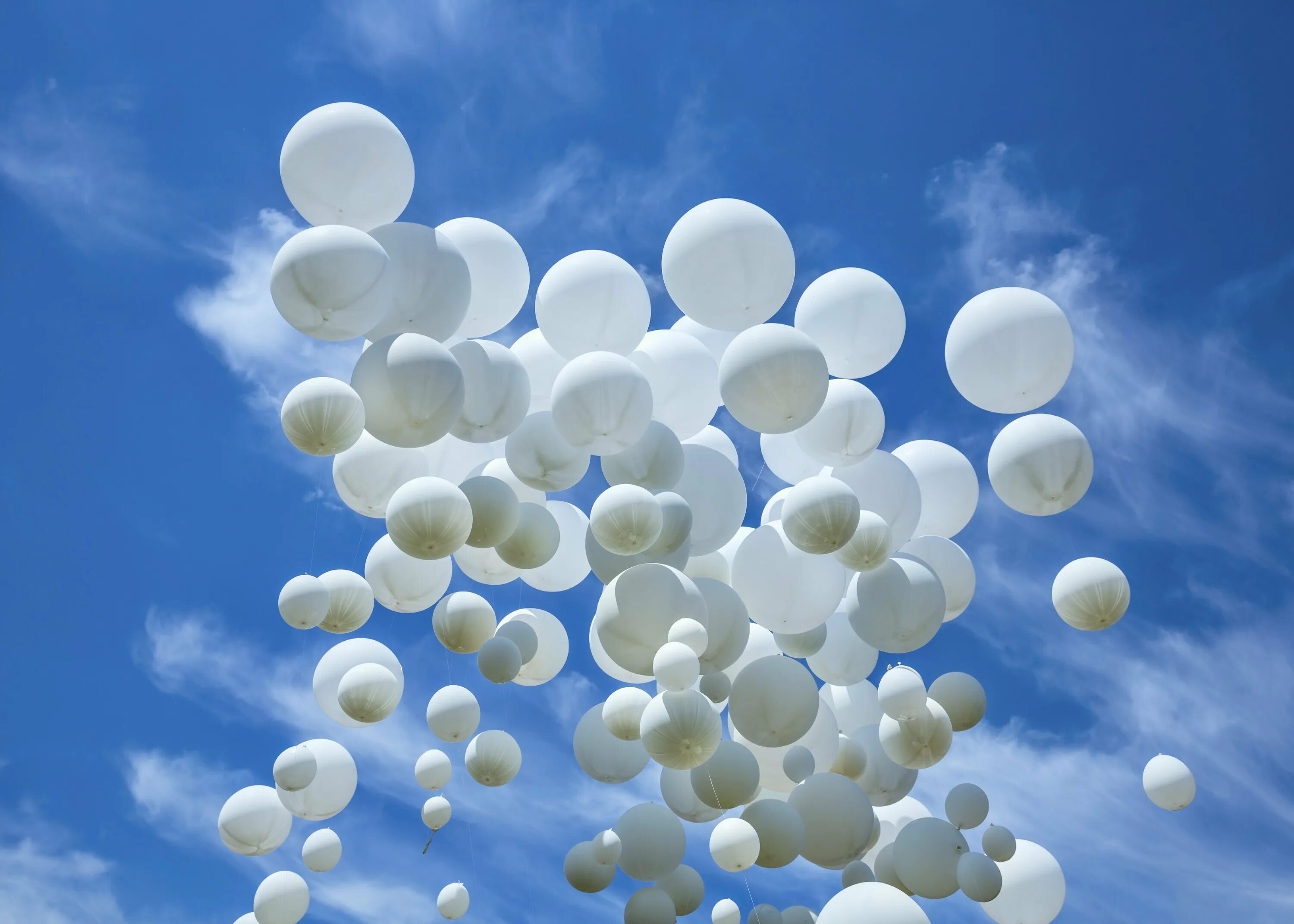 День рождения облаков. Шары в небе. Воздушные шары в небе. Белые шары в небе. Воздушный шарик.