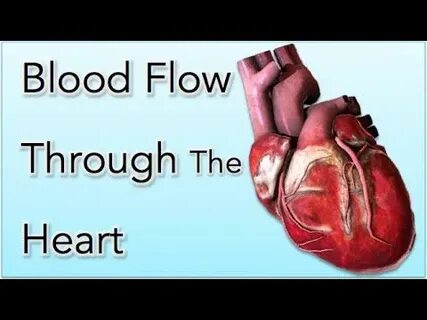 Through the heart