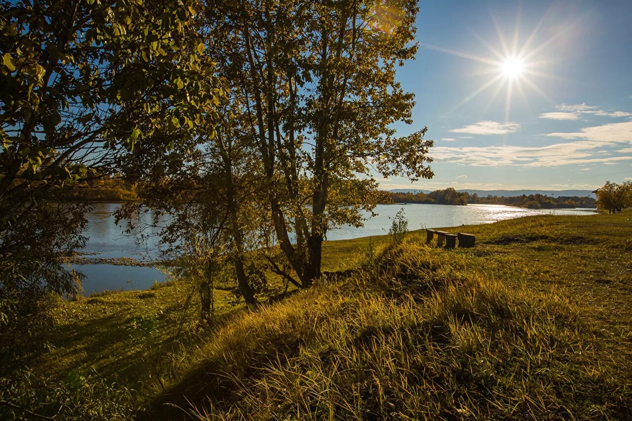 Елнать река. Гороховый остров Можайское водохранилище. Природа России. Природа речка.