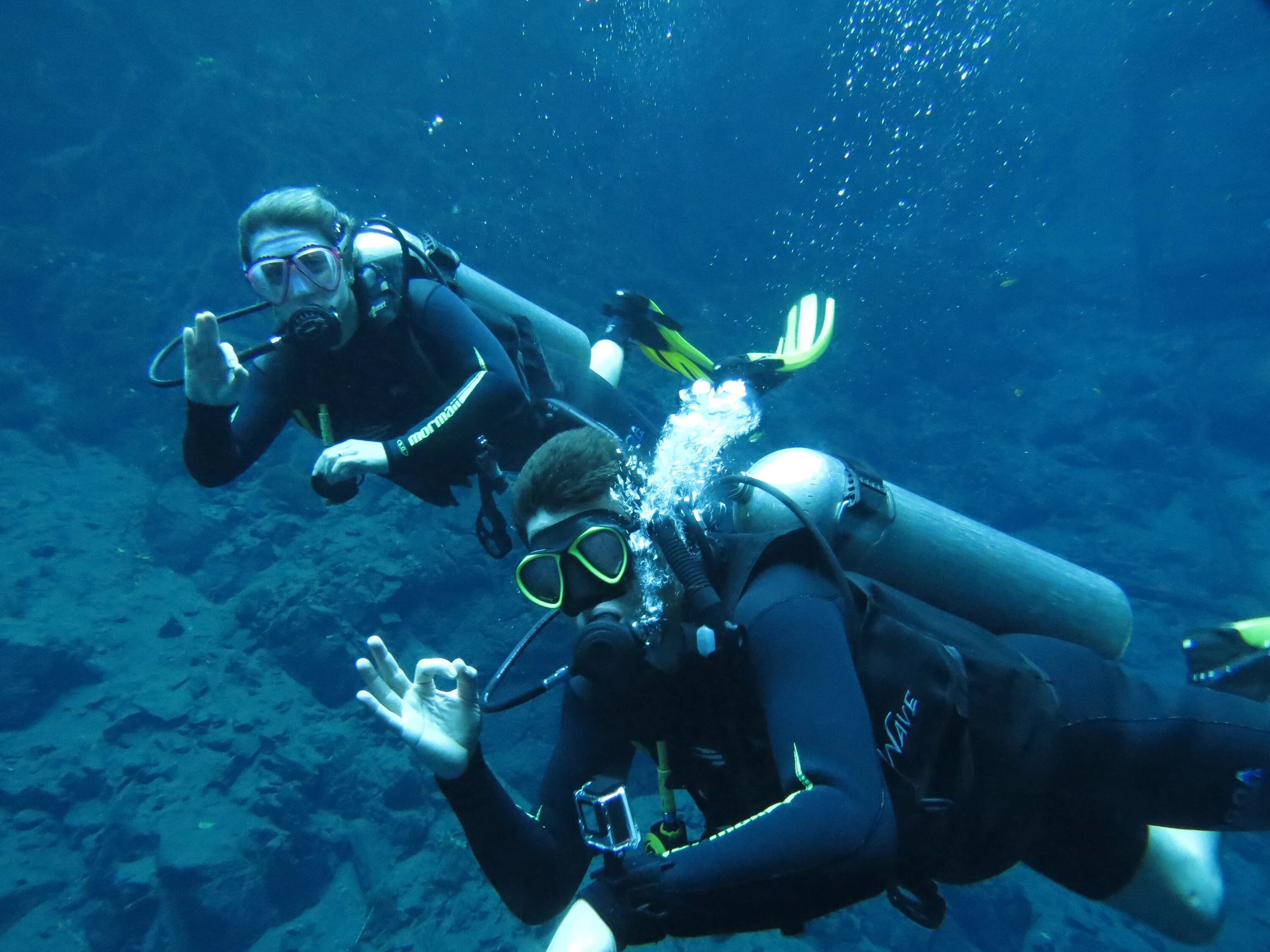 Dive want
