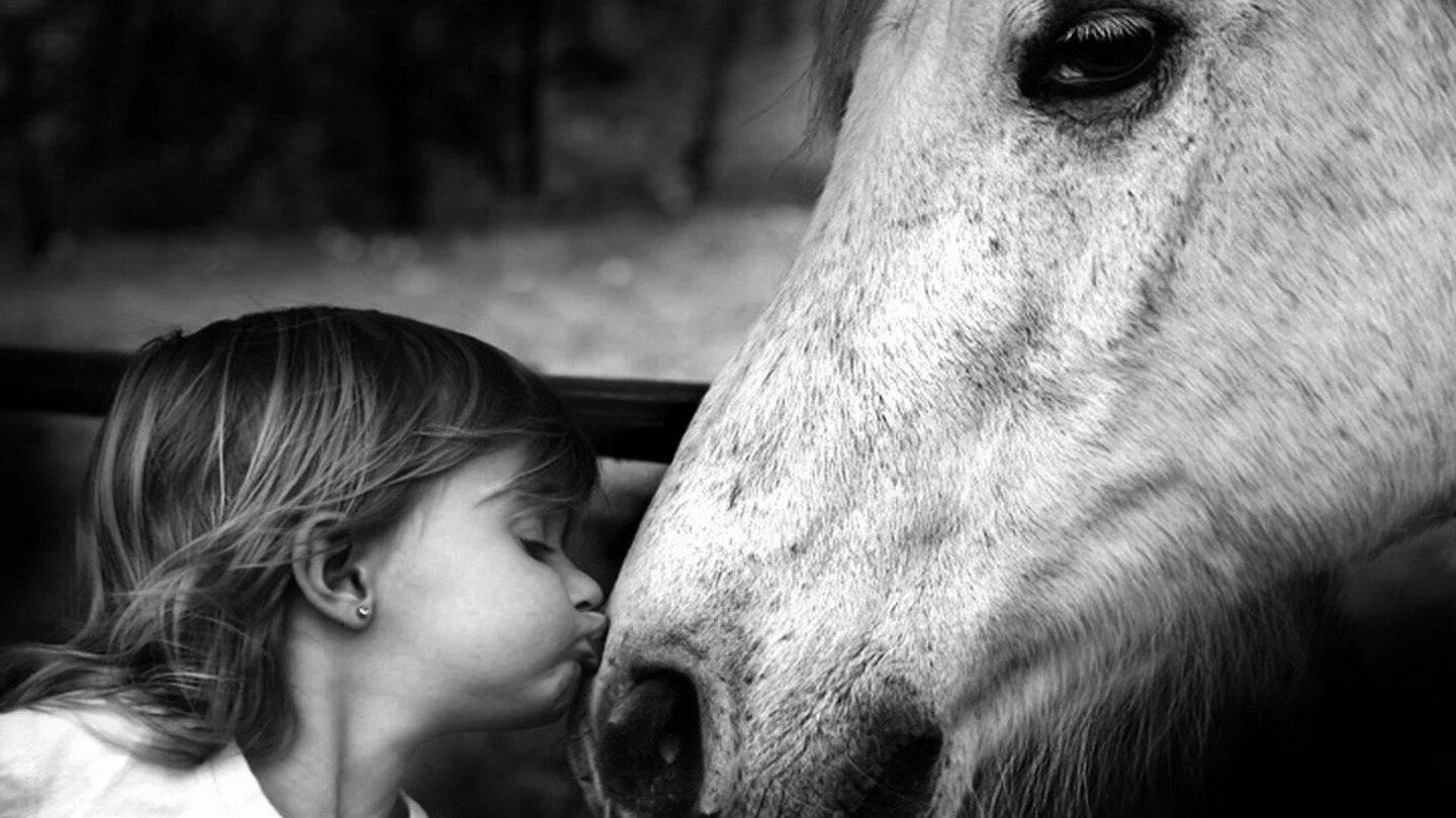 Horse kids. Ребенок обнимает лошадь. Для детей. Животные. Трогательные животные фото. Лошадь для детей.