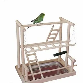 Bird play