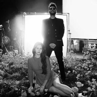 Lust for life