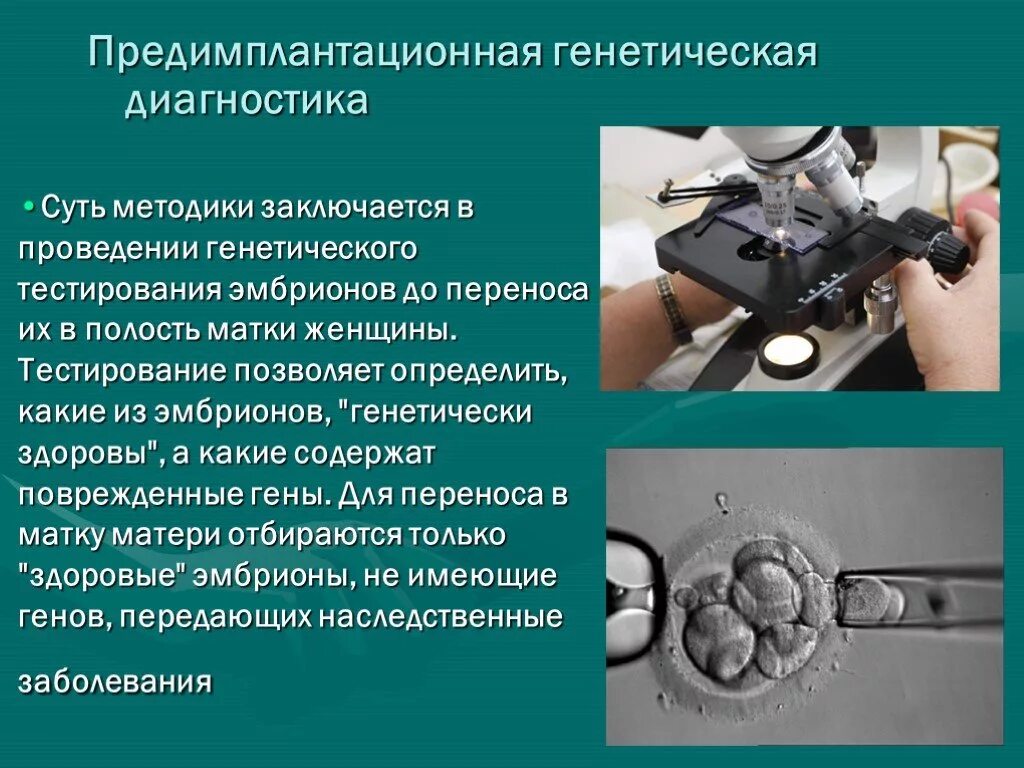 Преимплантационная генетическая диагностика. Предимплантационная генетическая диагностика. Пгд эмбриона. Преимплантационная диагностика наследственных болезней. Преимплантационная генетическая диагностика.