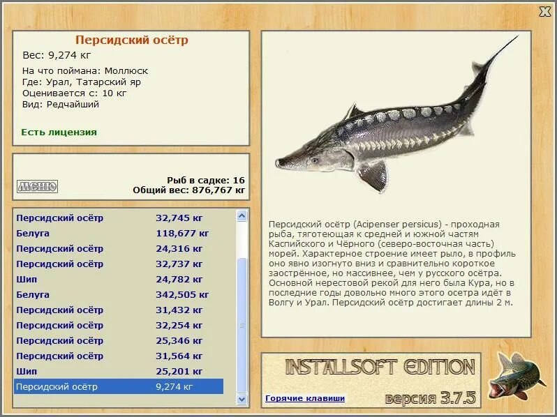 сколько тонн весит кит. русская рыбалка 3 7 4 подкаменная тунгуска нельма. презентация на тему бегемот. крупное животное на букву и. бурый медведь вес и рост.