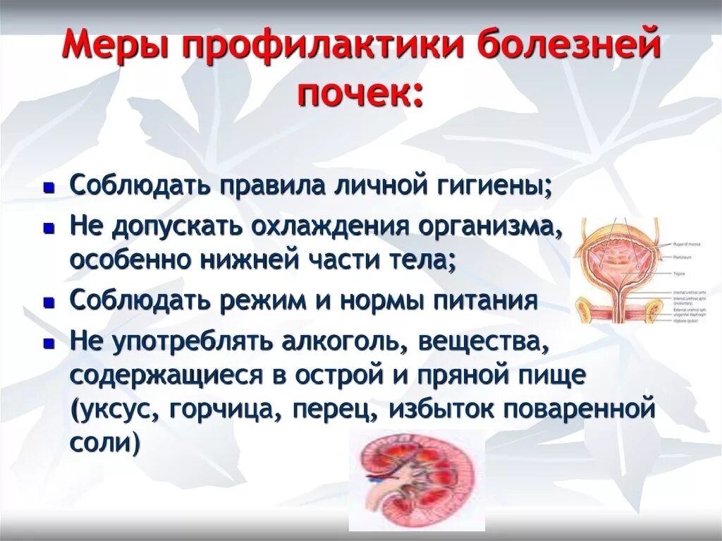 Заболевание почек конспект. Памятка меры профилактики болезней почек. Меры профилактики заболеваний мочевыделительной системы. Профилактика заболеваний почек. Памятка предупреждение почечных заболеваний.