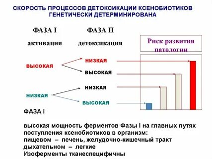 Скорость процессов