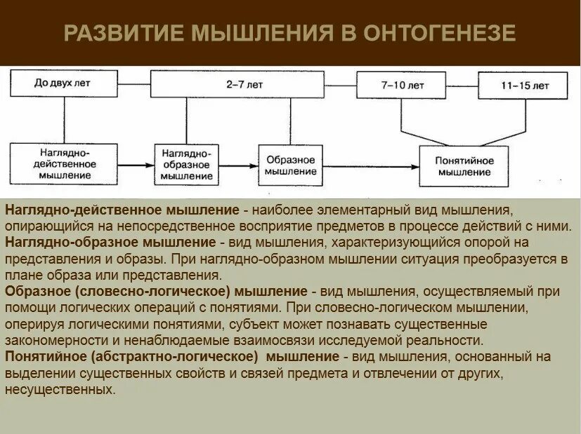 Проблема понятия вид. Развитие мышления в онтогенезе. виды мышления в онтогенезе. этапы формирования мышления. стадии развития мышления в онтогенезе.