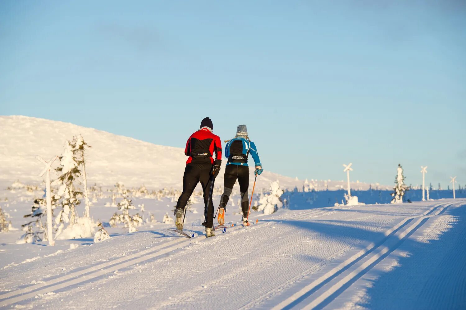 Лыжня в Норвегии. Лыжные трассы. Лыжная дорога. Трасса для лыжников.