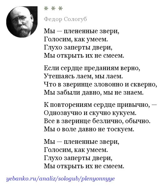 Забелелся туман за рекой анализ стихотворения. Мы плененные звери. Стихотворение Сологуба. Фёдор Сологуб стихи известные. Сологуб мы плененные звери.