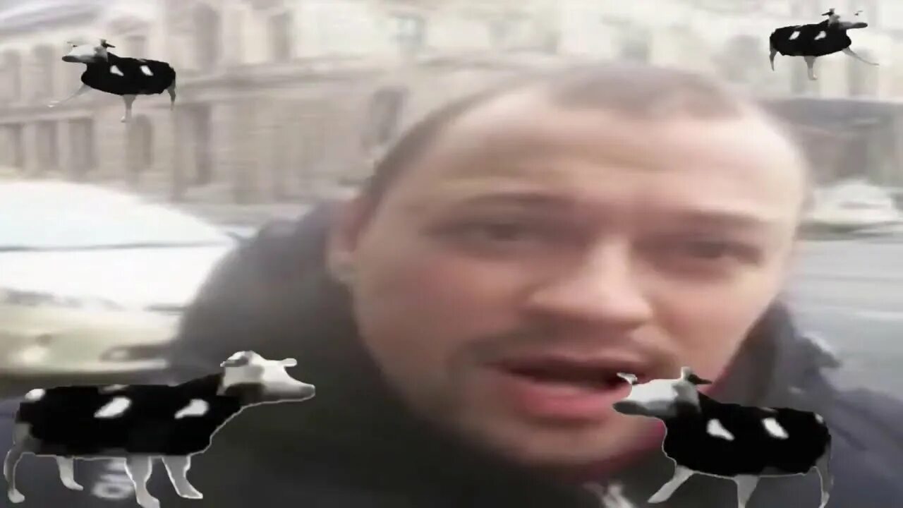 Придурки поют. Гоблин дементий жуков. Дмитрий пучков свинки. Придурки поют. Moymoypalaboy.