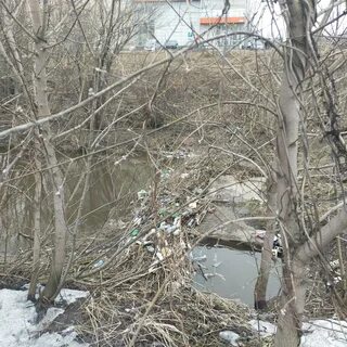Паводковая ситуация 2024
