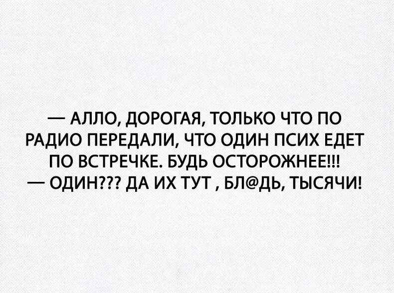 Алло дорогая. Да их тут тысячи. Анекдот про встречку. Дорогой тут все едут по встречке. Какой один их тут тысячи.