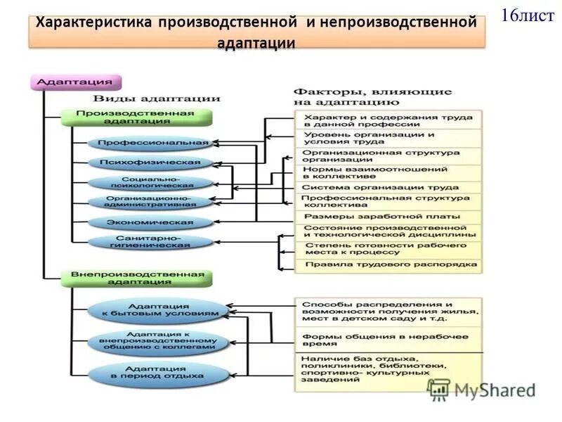 16 адаптированных. 16 адаптированных