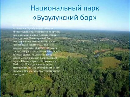 Класс бор