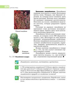 Лишайники первыми поселяются в бесплодных местах