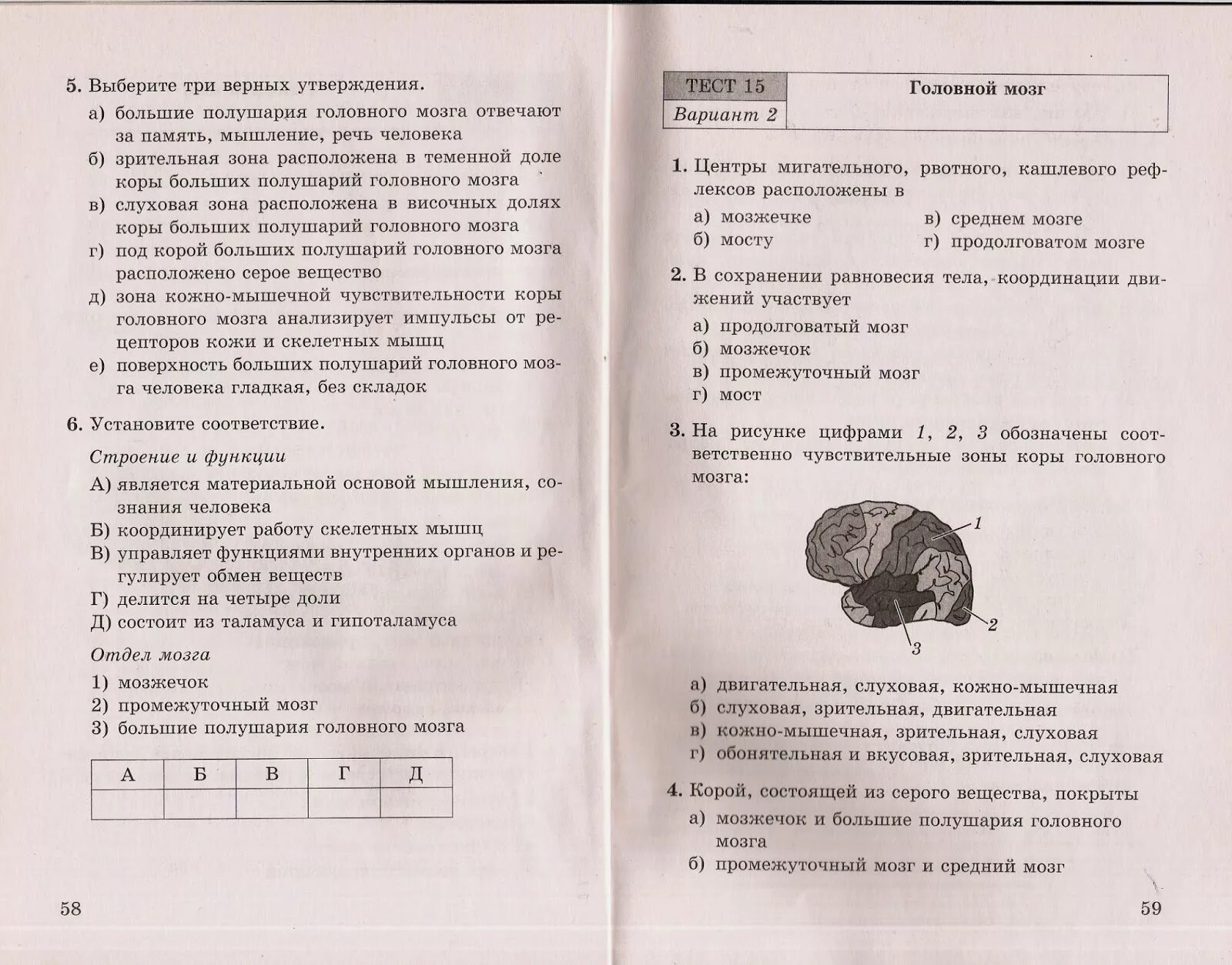 Контрольная работа по рыбам 8 класс биология. Тест по биологии головной мозг. Тест по биологии 8 класс 8 класс. Тест по биологии 8 класс головной мозг. Тестирование по биологии 8 класса головного и спинного мозга.