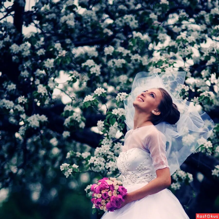 песня невестушка