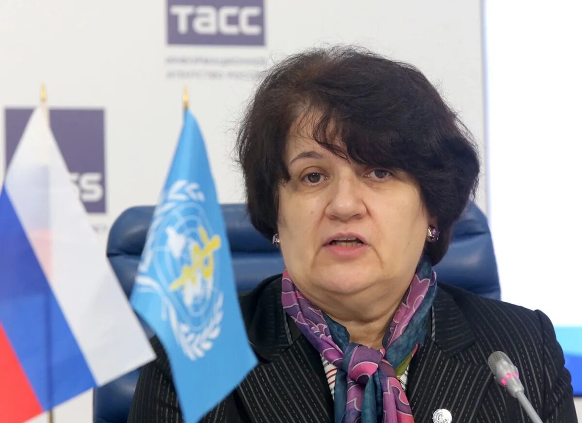 Мелита вуйнович. Мелита вуйнович воз. Мелита вуйнович воз. Воз в россии мелита вуйнович. Представитель воз в россии мелита вуйнович.