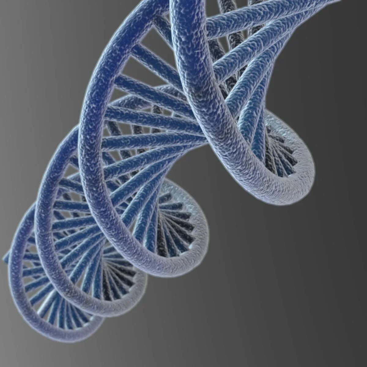 ДНК 3д модель. DNA 3d model. DNK model 3d модель. Молекула ДНК 3d.