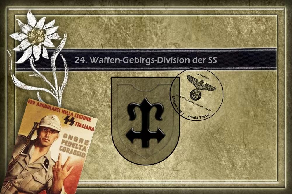 Списки сс. Дивизии Ваффен СС. Waffen SS дивизии. Плакаты Ваффен СС. Плакаты дивизии СС.