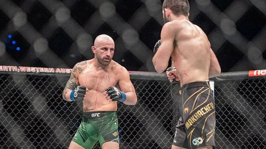 Ислам махачев бой. Ислам махачев александр волкановски бой. Ислам махачев ufc. Юфс махачев волкановски. Алекс волкановски умар нурмагомедов.