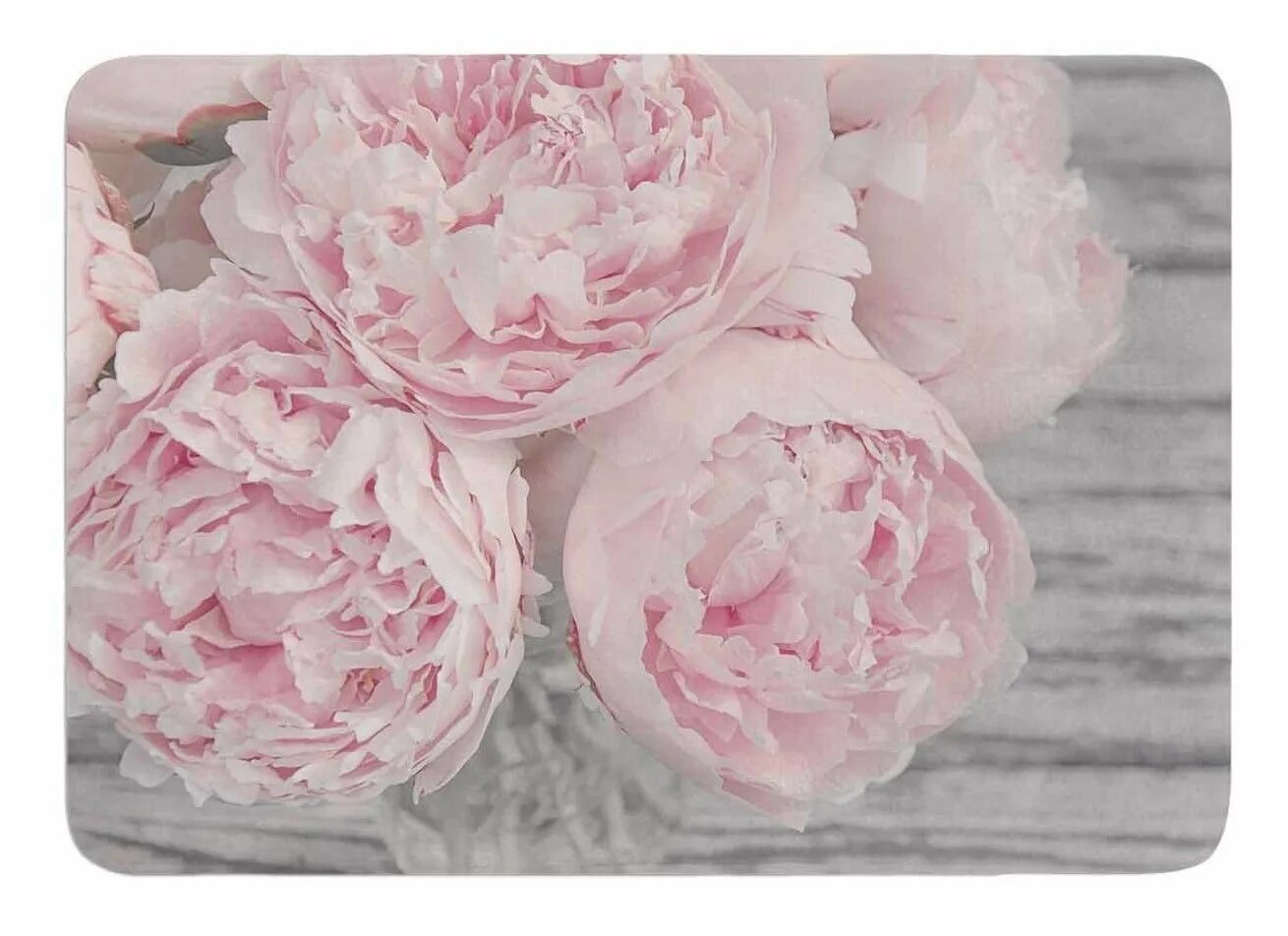 Аффреско пионы. Пион ellen rosa. Пион пастелорама. Пион розовый (peony the pink). Розовые пионы.