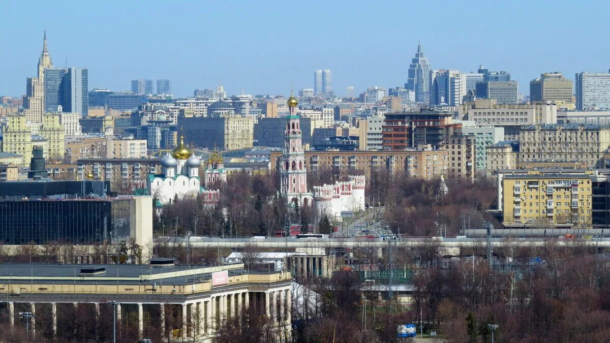 Jungle салон маяковская. московские джунгли. джунгли в квартире в химках. достроились! каменные джунгли гонконга. новопеределкино каменные джунгли.