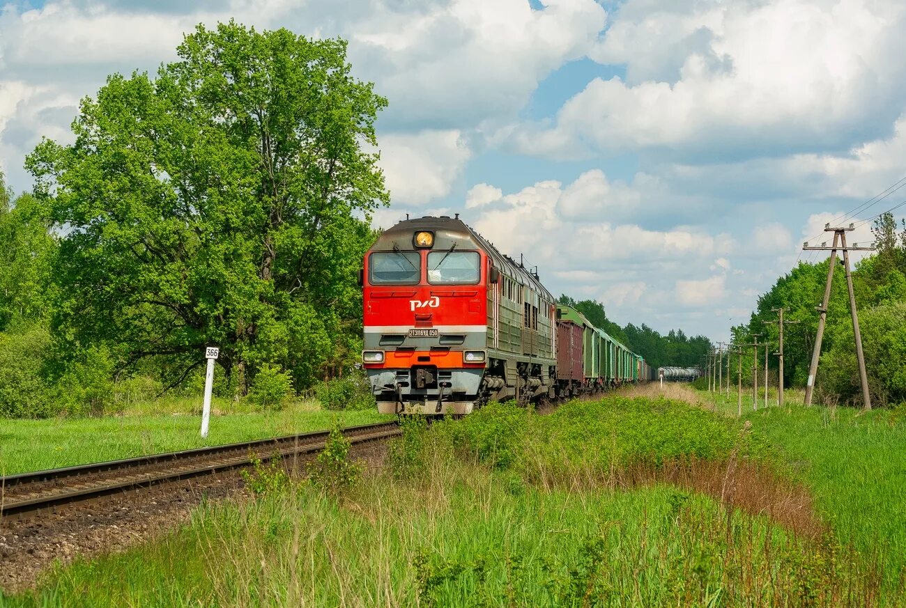 Фото пыталово псковской области. 2тэ116уд на перегоне Псков-Гатчина. 2тэ116уд. Г Пыталово Псковской области. Ритупе Пыталово.