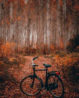Bike listen