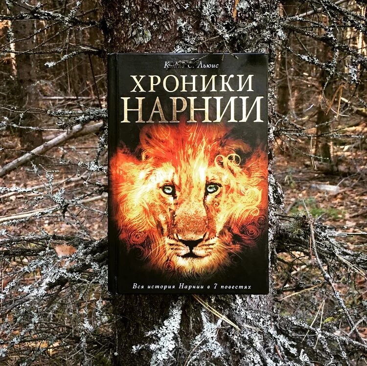Читать книгу хроники. Клайв льюис хроники нарнии. льюис к. с. &quot;хроники нарнии&quot;. клайв стейплз хроники нарнии. хроники нарнии клайв стейплз льюис книга.