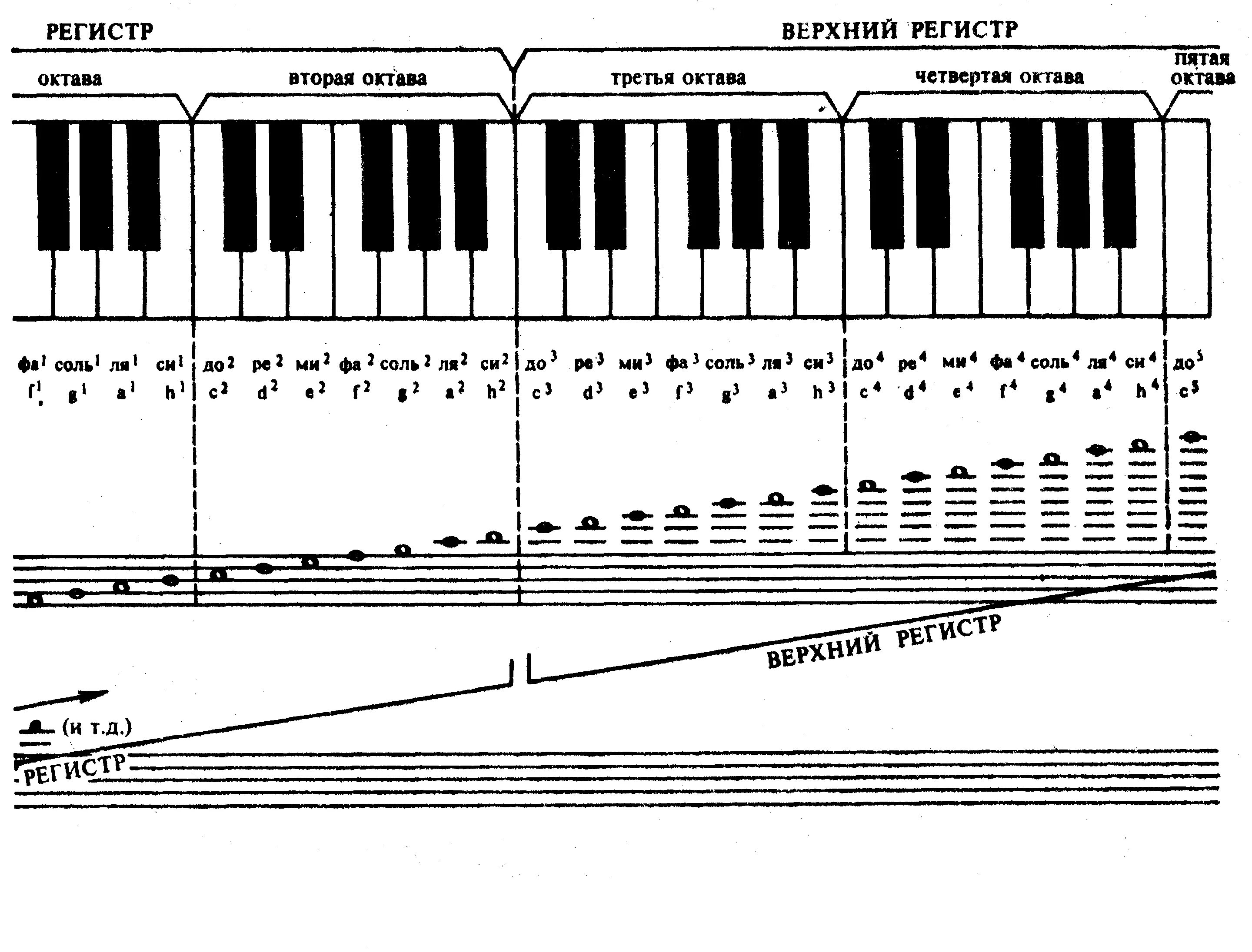 Три регистра. Октавы синтезатора схема. Октава фортепиано 3 октавы. Звукоряд первой октавы. Диапазон октав фортепиано.