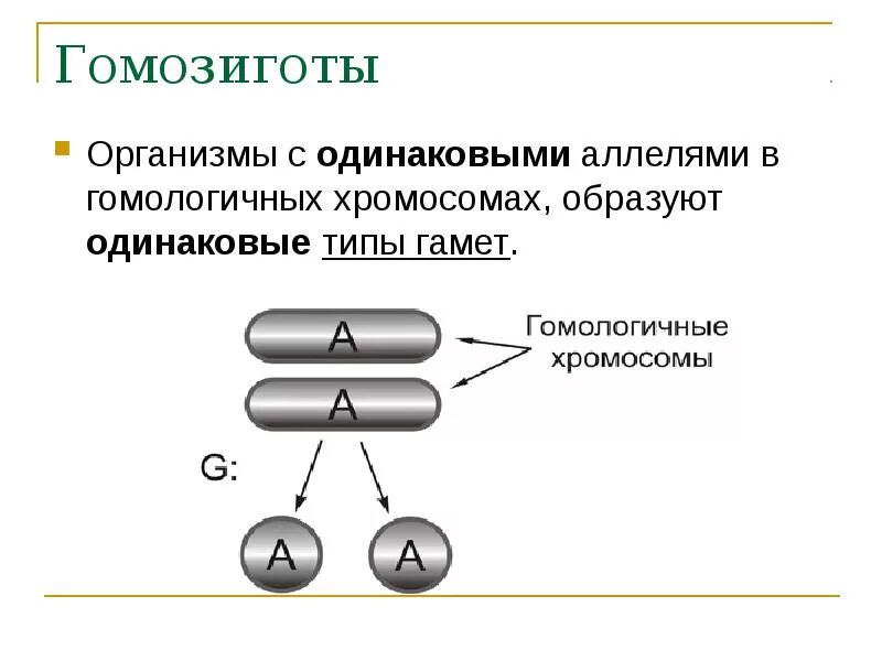 Одинаковый вид
