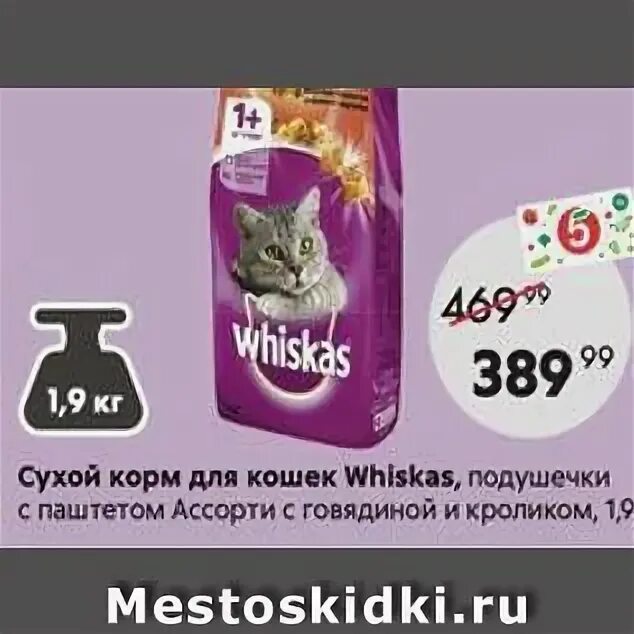 акции сухого корма для кошек. проплан сухой корм для кошек ассортимент. акция корм для кошек. роял канин реклама с собаками. Purina one для кошек пятерочка.