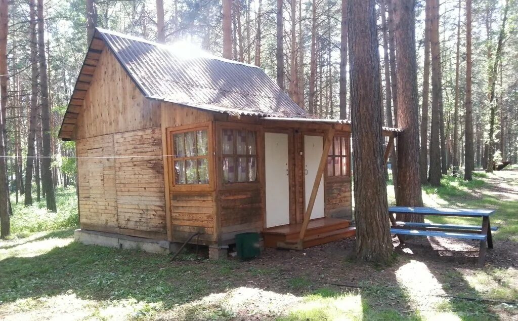 Обские зори база отдыха новосибирск. База отдыха в новосибирске жемчужина. Недорогой отдых новосибирская область. База жемчужина лосево. Недорогой отдых новосибирская область.