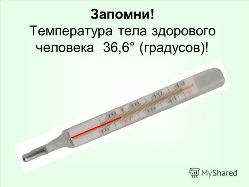 Градус температуры тела. Температура тела. Температура тела здорового человека. Границы температуры тела.