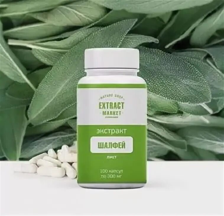 Salvia extract. Экстракт шалфея. шалфей в капсулах. salvia в капсулах. сальвия шалфей капсулы.