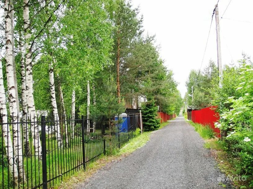 Белоостров александровское шоссе 5. Тупиковая улица белоостров. Коттеджный поселок белоостров. Чехов коттеджный поселок белоостров. Пос белоостров.