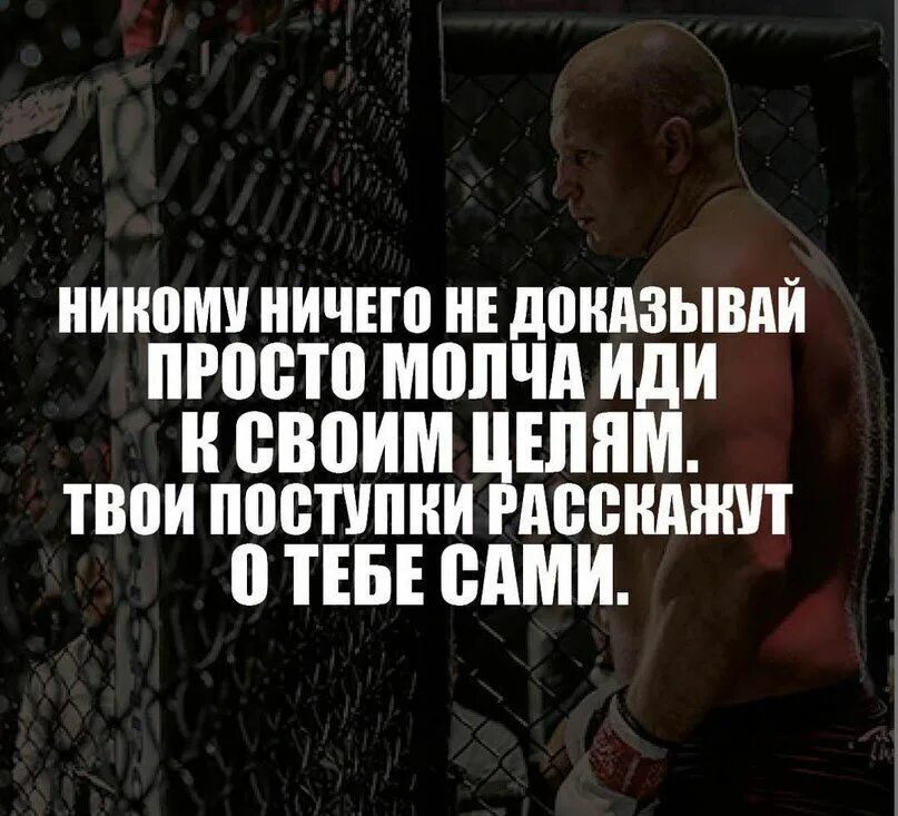 Никогда никому не доказывай. Никому ничего не доказывай. Цитаты о сильных бойцах.