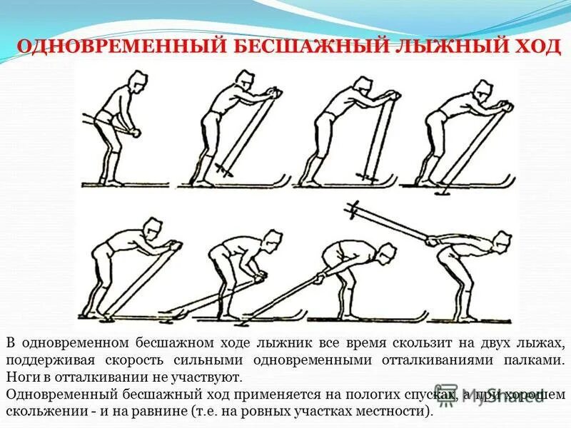лыжный спорт теория и методика обучения