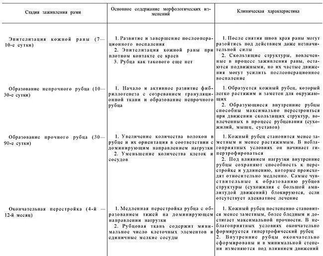 Стадии образования рубца. Заживление РАН таблица.