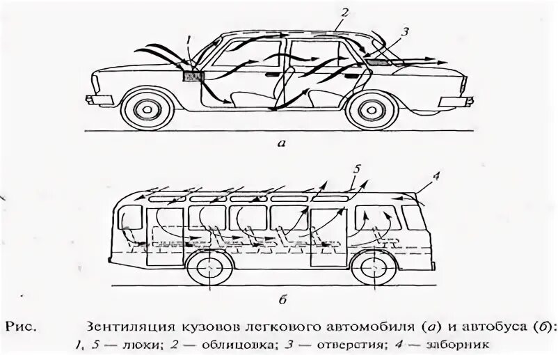 Типы кузовов автобусов