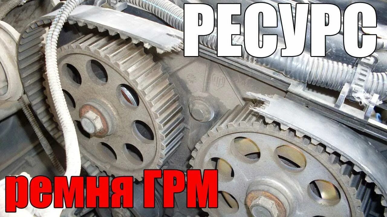 Когда нужно менять ремень. Оборванный ремень грм. износ ремня грм. плохое состояние ремня грм. ресурс грм.