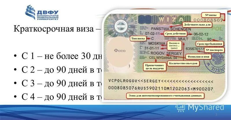 Дни пребывания в шенгене калькулятор. Как посчитать дни пребывания в шенгене. Лист 90 лет жизни в неделях. Таблица 90 лет жизни в днях. Этапы вхождения руководителя в должность.