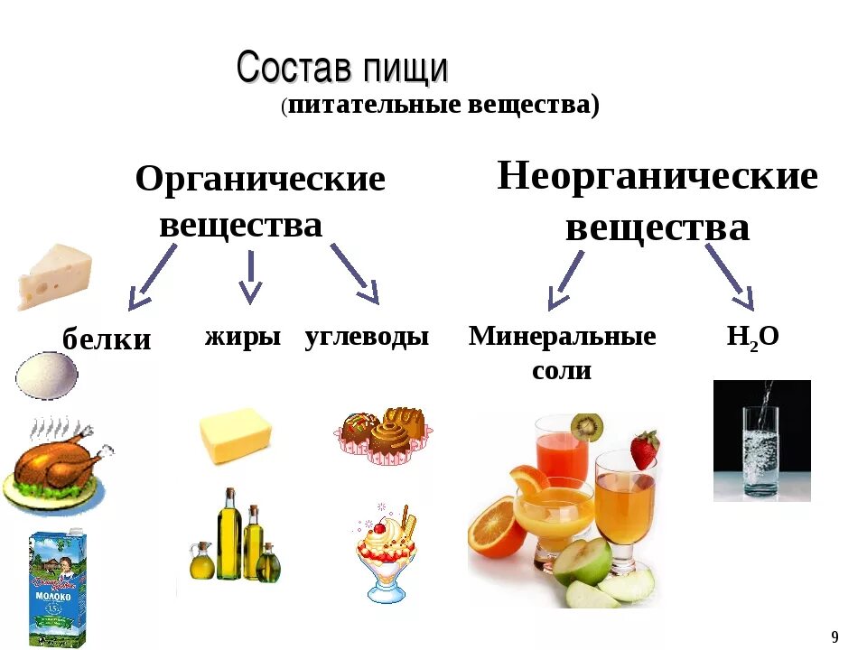 Для чего нужен белок и углеводы. Жиры белки состав пищевых веществ. Состав пищи минералы белки углеводы. Состав питания жиры белки углеводы. Белки жиры углеводы микроэлементы витамины.