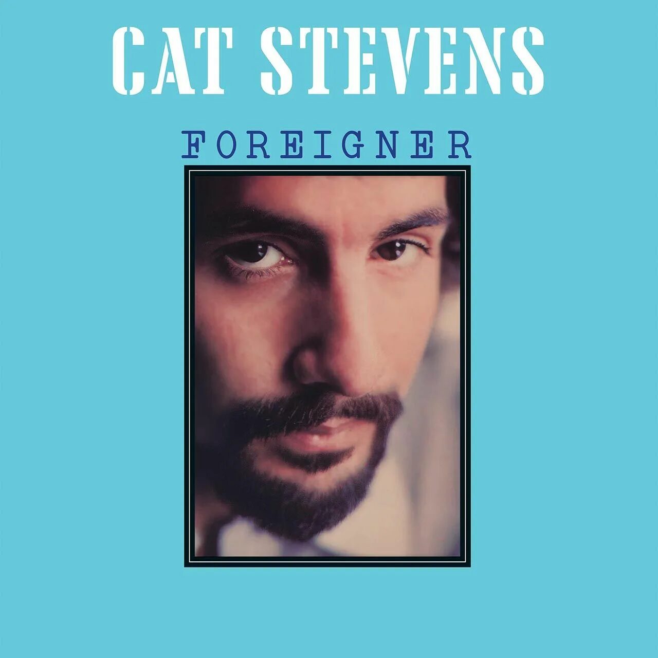 Steve cat. Steve cat